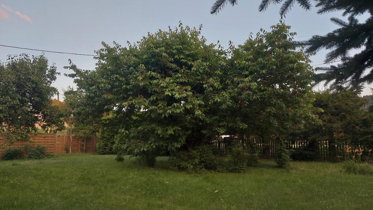 Apartamenty Stokrotka Lądek-Zdrój Kültér fotó