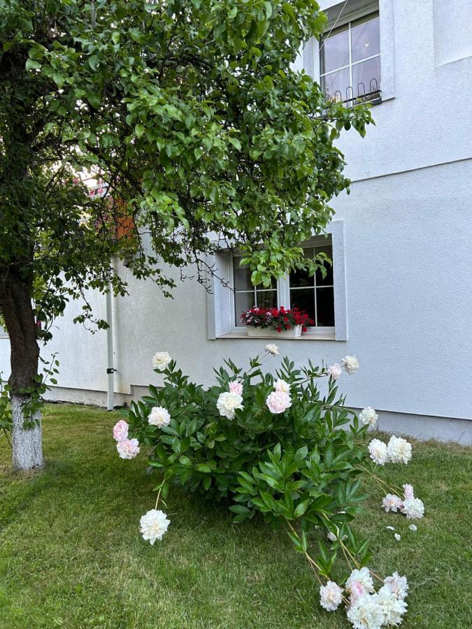 Apartamenty Stokrotka Lądek-Zdrój Kültér fotó