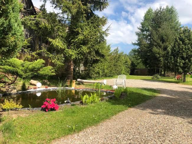 Apartamenty Stokrotka Lądek-Zdrój Kültér fotó